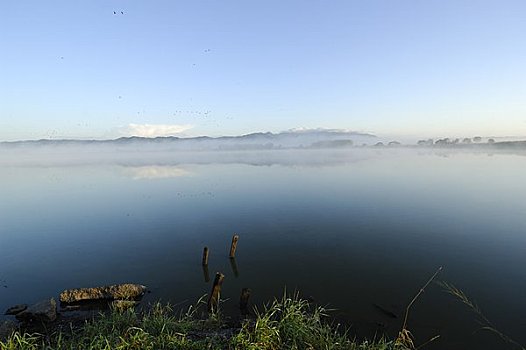 宫岛,水塘