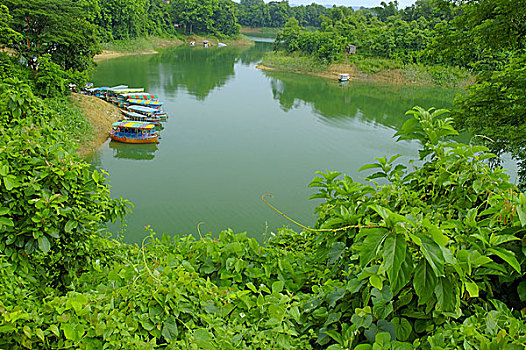 漂亮,湖,人造,孟加拉,地区,分开,结果,建筑,坝