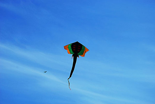 天空中飞翔着的黑色鳗鱼风筝
