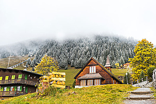 房子,小,乡村,靠近,山,瑞士