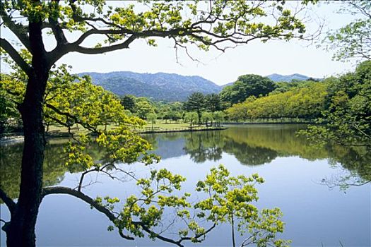 日本,本州,关西,奈良,水塘
