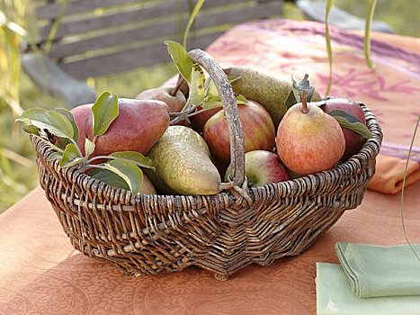 苹果,梨,柳条篮,花园桌