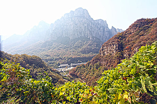 云台山