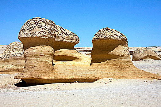 沙岩构造,旱谷,鲸,山谷,埃及