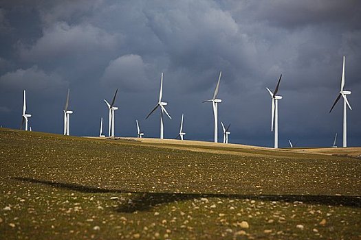 风电场,阿尔瓦塞特,西班牙