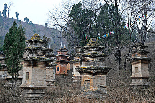 河南汝州风穴寺塔林