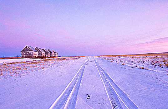 谷仓,冬天,艾伯塔省,加拿大