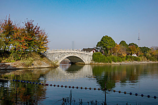 冬景,湖光冬色,水杉