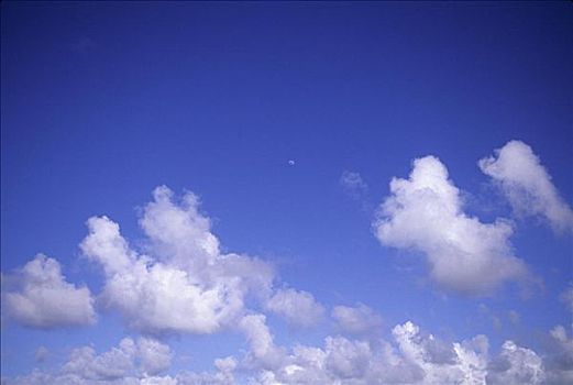 夏威夷,蓝天,圆点,蓬松,云