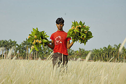 男孩,走,花,正面,房屋,达卡,孟加拉,五月,2007年