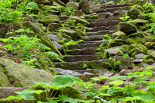 天然石,楼梯,靠近,黑森林,巴登符腾堡,德国,欧洲