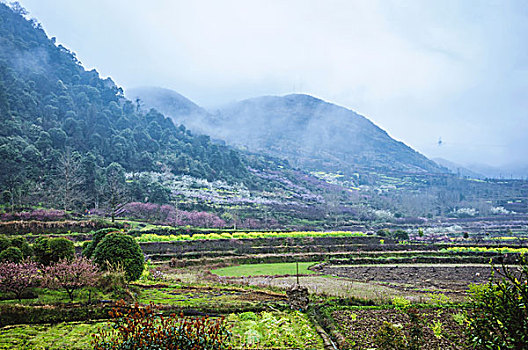 雾色田园