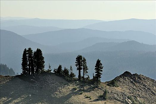 风景,山,国家森林,加利福尼亚,美国