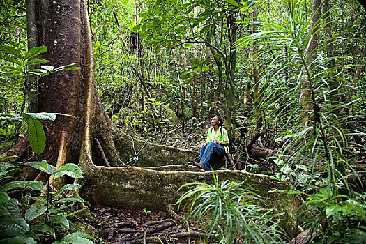 自然学家,树林,好奇,岛屿,马鲁安采特拉,马达加斯加