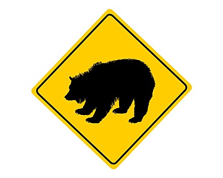 棕熊