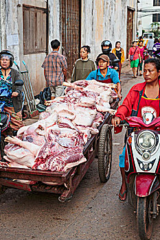 一个,男人,运输,鲜肉,市场,万象,老挝