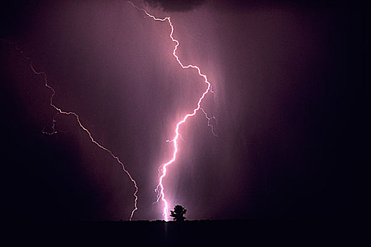 能量,闪电,雷击,孤木,地平线,亚利桑那,美国