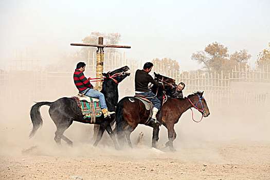 巴楚,新疆,风情,风俗,维吾尔族,青年,叼羊,赛马,骑马,激烈,高速