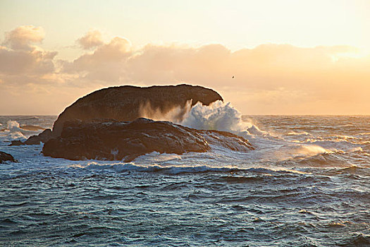 波浪,南海滩,环太平洋国家公园,靠近,不列颠哥伦比亚省,加拿大
