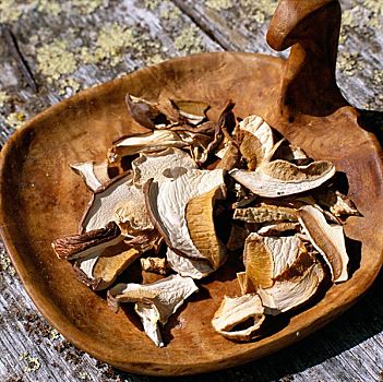 干燥,蘑菇,托盘,拉普兰,瑞典