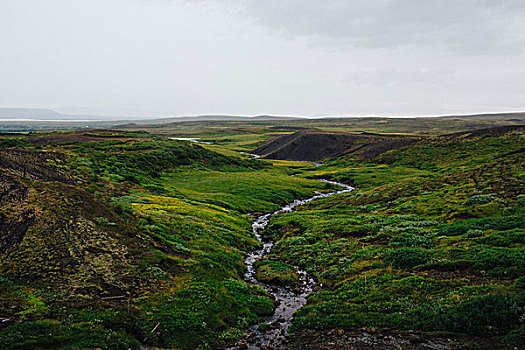 俯拍,河,弯曲,茂密,绿色,地点,冰岛