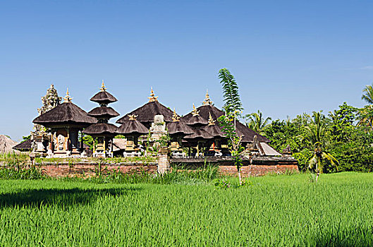 庙宇,稻田,乌布,巴厘岛,印度尼西亚,亚洲