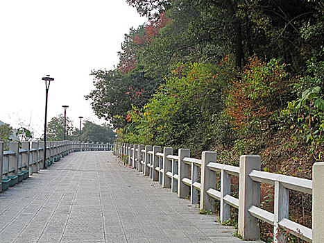 杭州西溪谷步行道