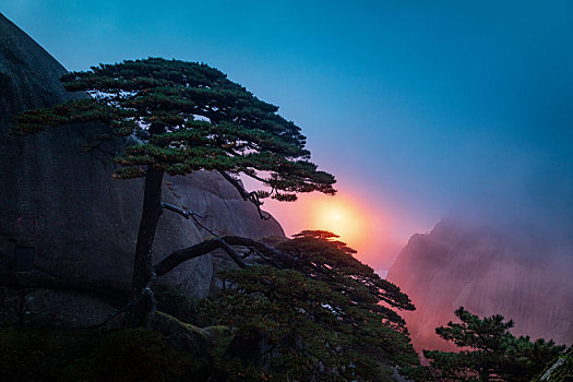 黄山迎客松日出