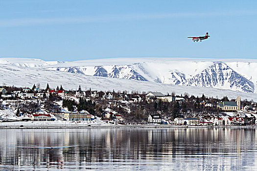 冰岛,小,飞机,降落,靠近,年轻,画廊