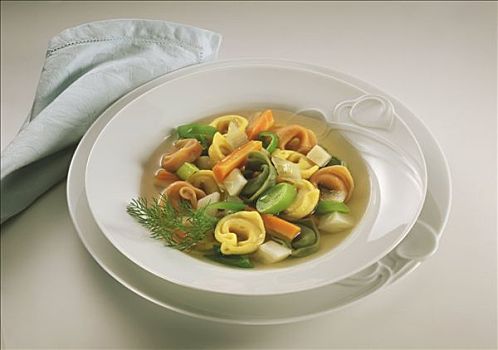 蔬菜浓汤,蔬菜,三色,意大利式水饺