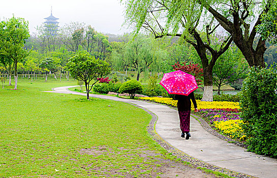 阳羡春晓