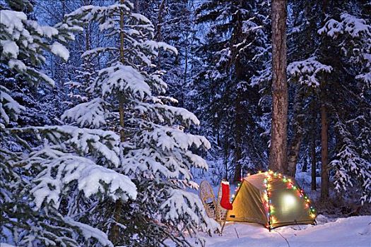 帐蓬,木头,圣诞灯光,圣诞袜,靠近,阿拉斯加