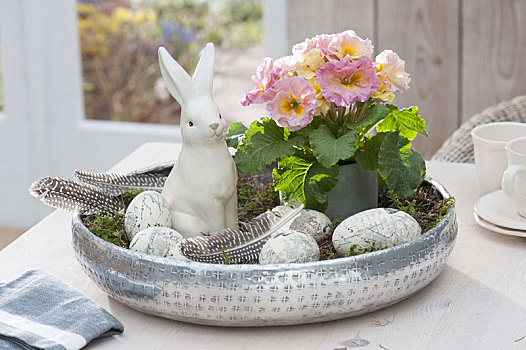 银色托盘,樱草属植物,樱草花,陶瓷,复活节兔子