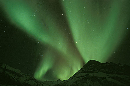北极光,山麓,布鲁克斯山,北极国家野生动物保护区,阿拉斯加