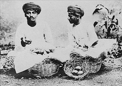 印度教,水果,销售,印度,20世纪