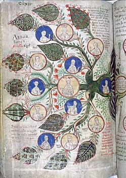 家谱,书页,12世纪