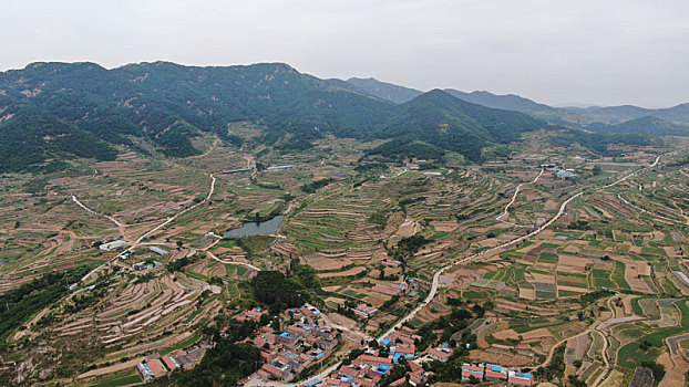 山东省日照市,莒县梯田美如画,错落有致美不胜收