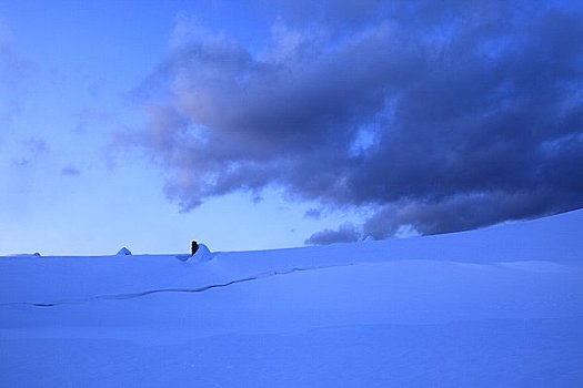 雪原