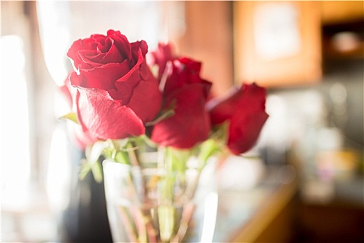 漂亮,红玫瑰,花束,旧式,背景