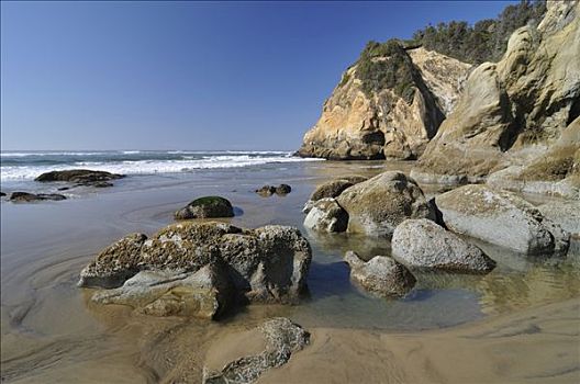 海滩,石头,搂抱,州立公园,俄勒冈,美国,北美