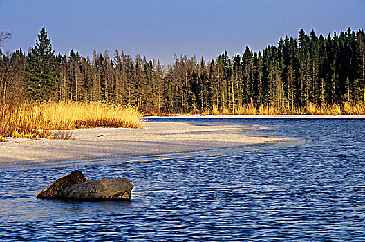 河,冬天,怀特雪尔省立公园,曼尼托巴,加拿大