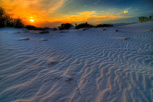 沙丘,自然保护区,科阿韦拉州,墨西哥,中美洲