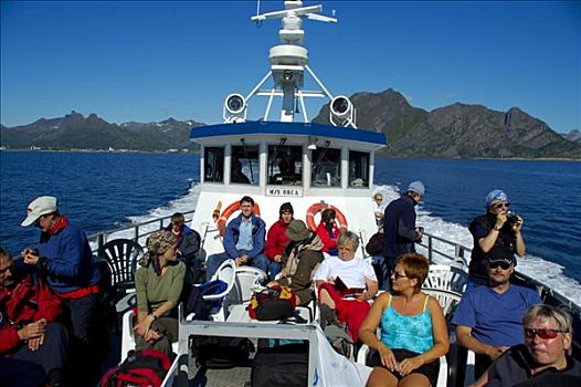 乘客,太阳,甲板,罗弗敦群岛,挪威