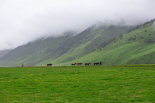 绿水青山,川西