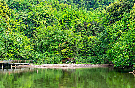 青城山的绿树与水面