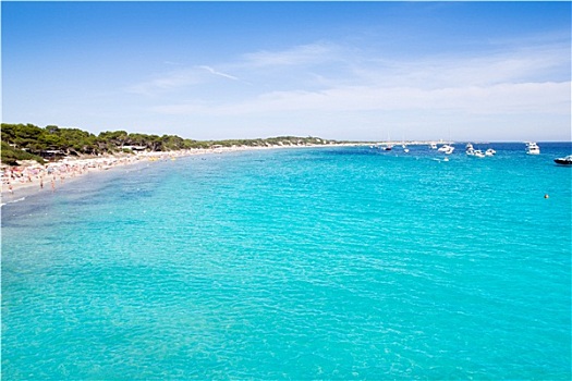 伊比萨岛,南,青绿色,海滩