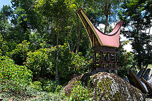 典礼,场所,巨石,传统,房子,靠近,苏拉威西岛,印度尼西亚,东南亚