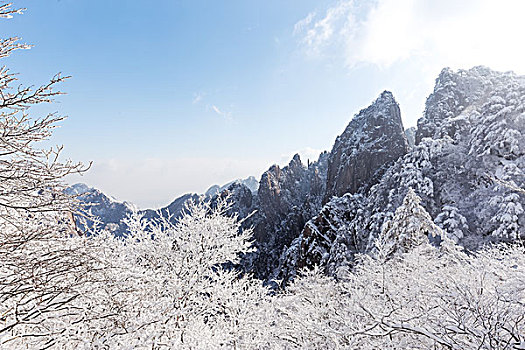 雪景,黄山,山,冬天