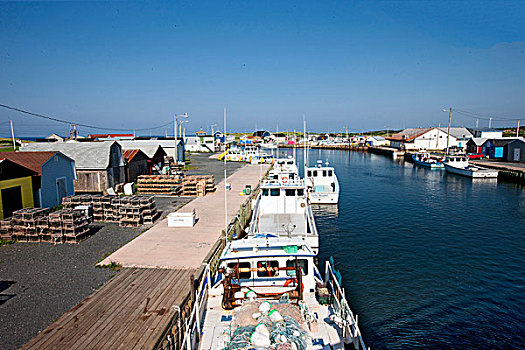 渔船,捆绑,码头,北湖,港口,爱德华王子岛,加拿大