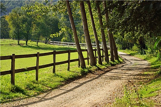 道路,乡村